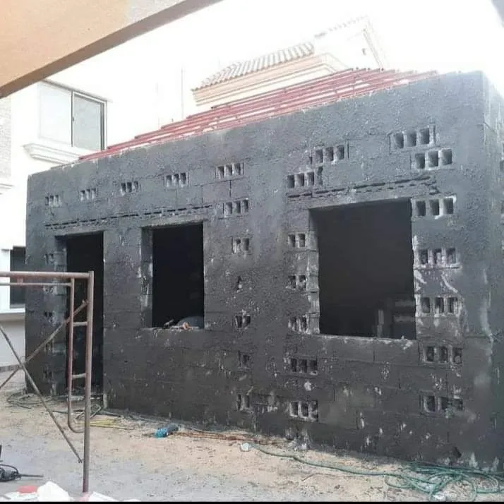 صورة إضافية